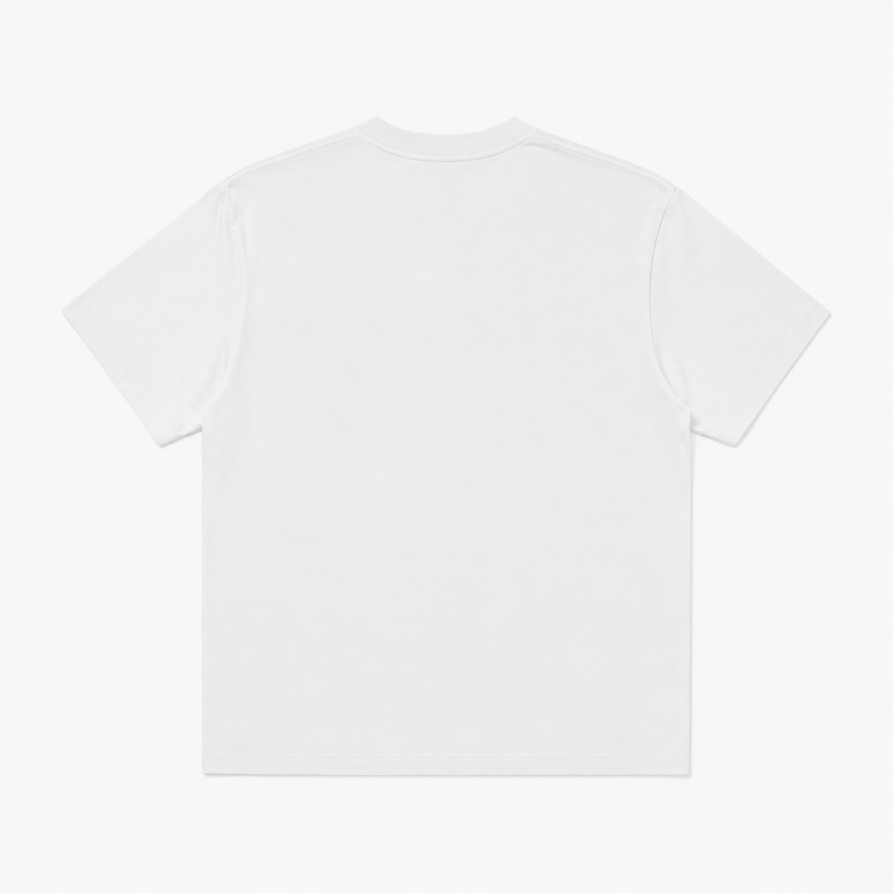 PPF MEMBERS TEE (précommande)